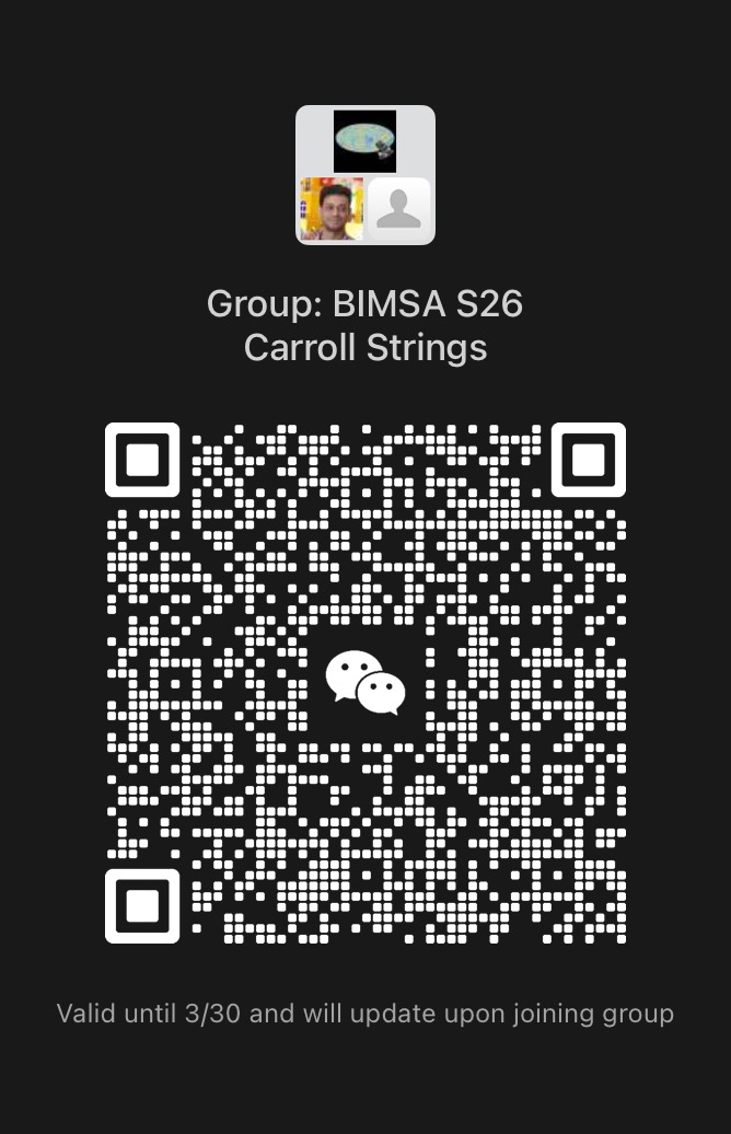 Professor Lars Aake Andersson