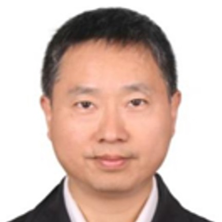 Professor Yuhong Yang